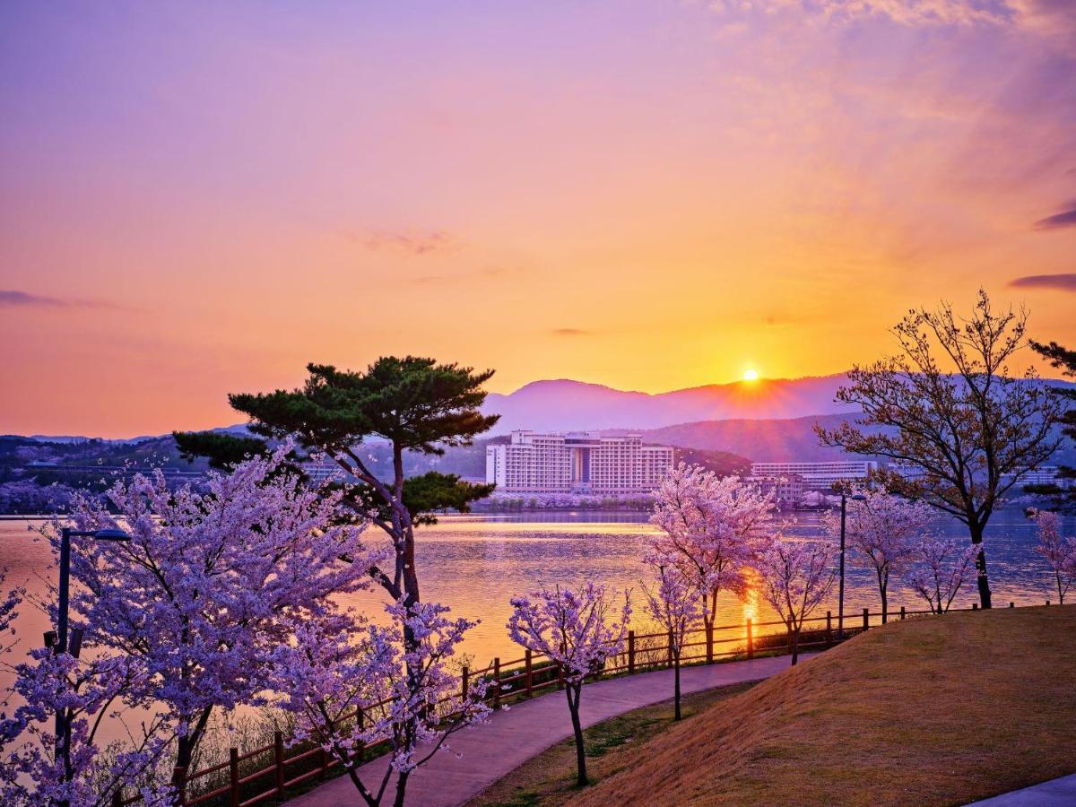 Hotel Sono Belle Gyeongju Exterior foto